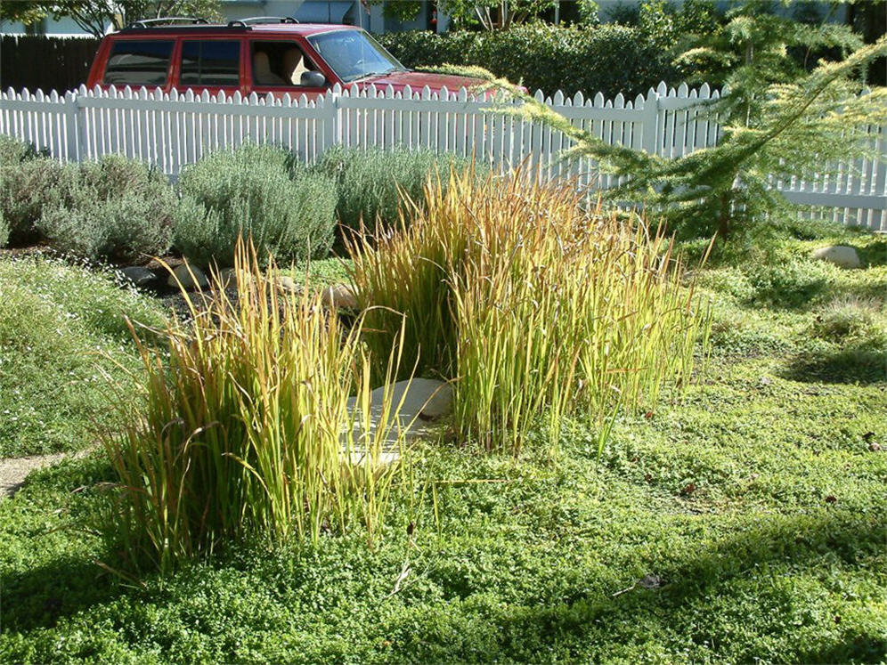 Grass Towers