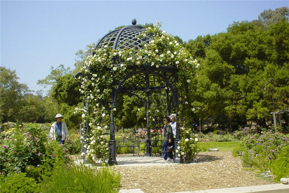 Metal Gazebo Descanso