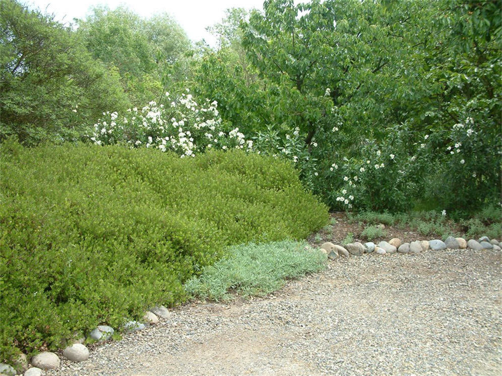 Native Screen