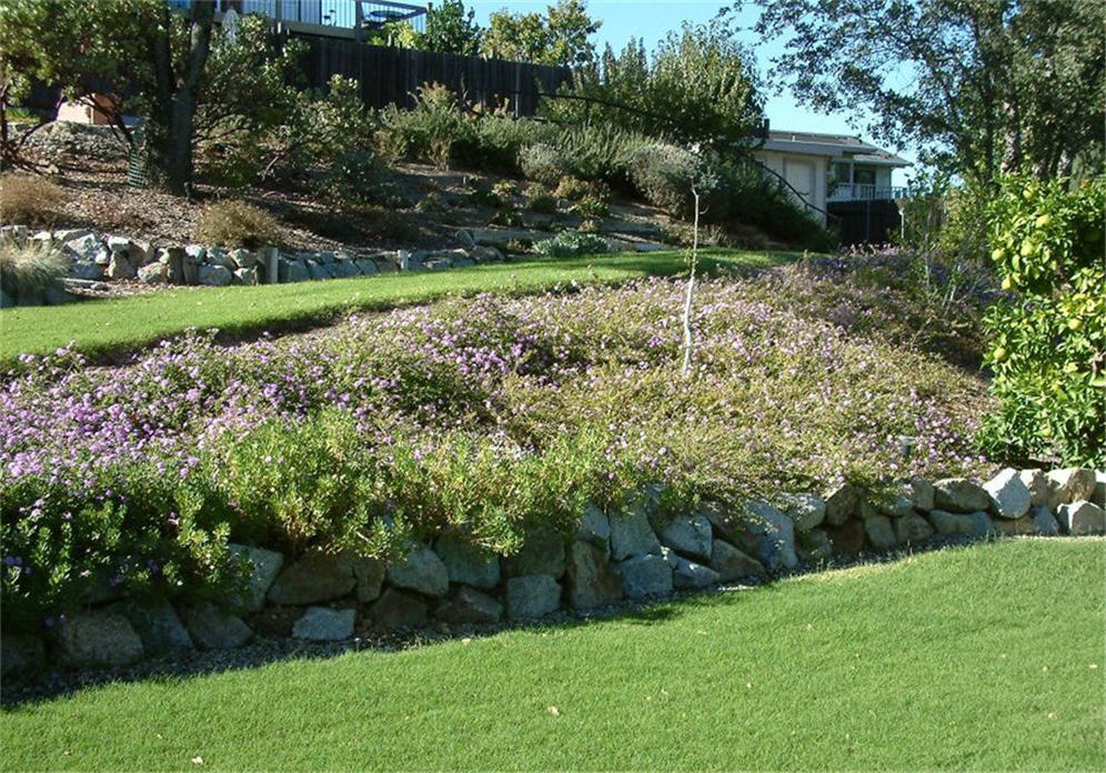 Lantana Embankment and Lawn Play Area