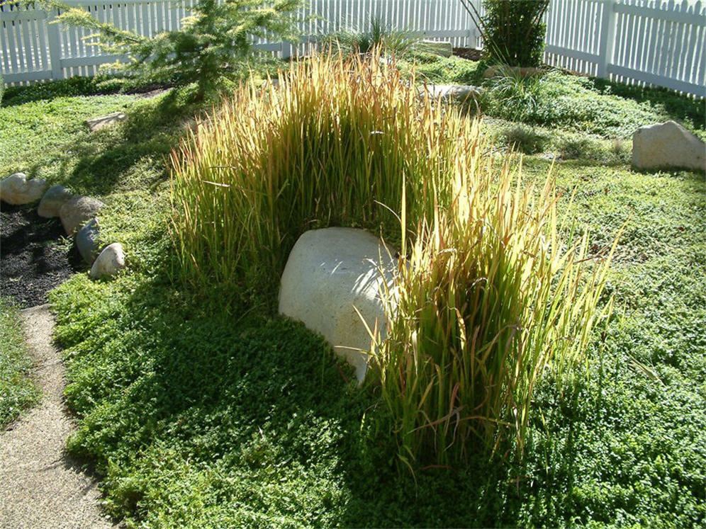Grass Towers and Stone