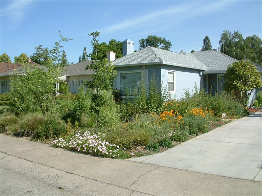 Downtown Sacramento Native Garden