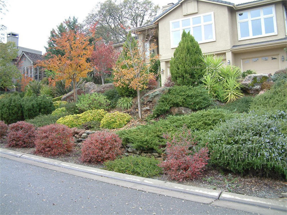 Front Hill Color