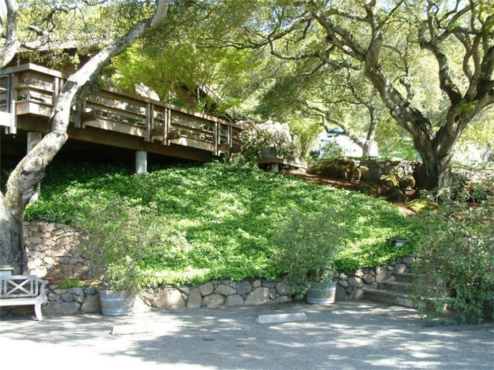 Oak and Ivy Hill