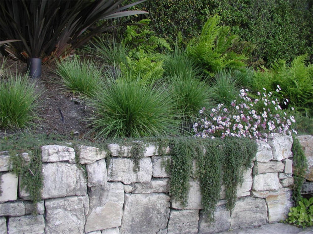 Raised Planter with Cascading Plants