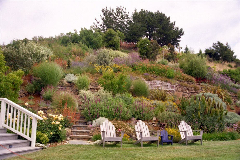 Four Chairs and a Hillside