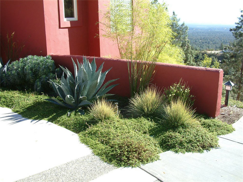 Hilltop Entry Drive Planter Bed