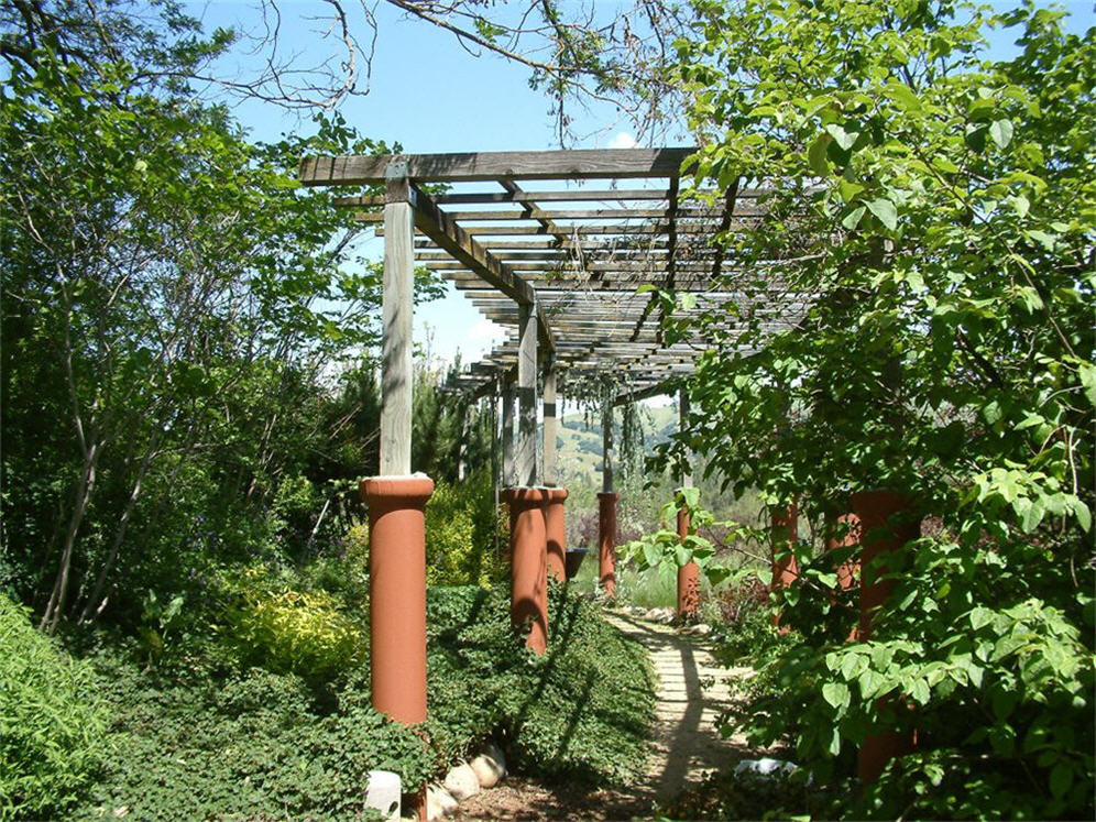 Shade at the Arbor