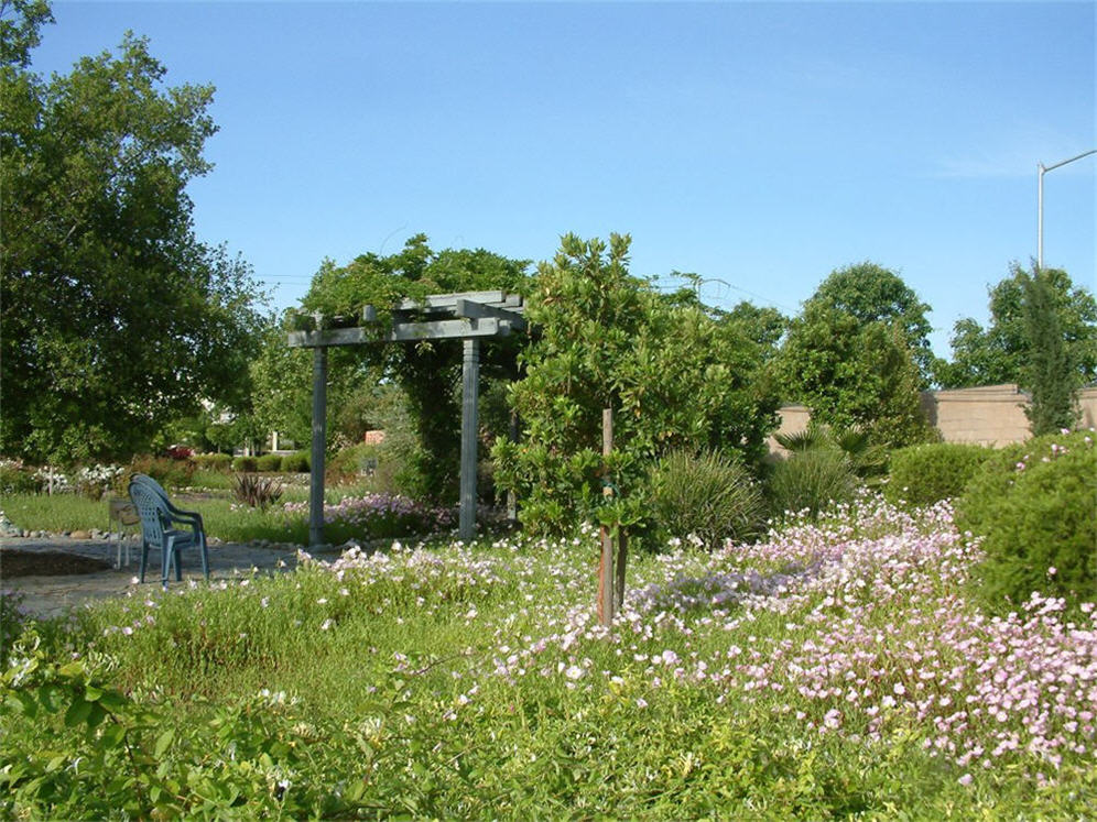 Spring Arbor at Antelope Gardens