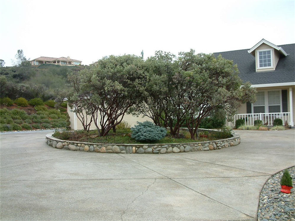 Circular Drive