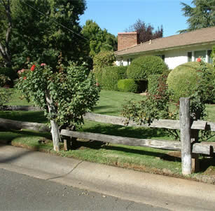 Fences